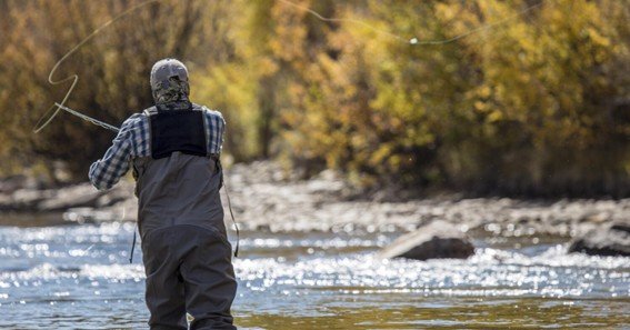 shoulder injuries in fly fishing